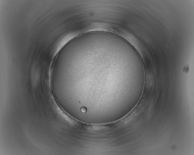 X0000091451290200708161251