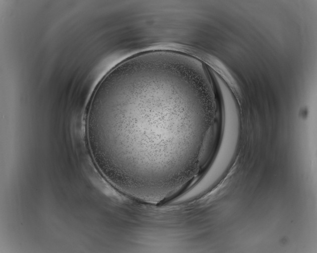 X0000091451292200708161251