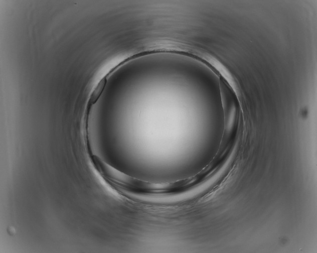 X0000091451293200708161251