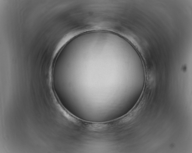 X0000091451294200708161251