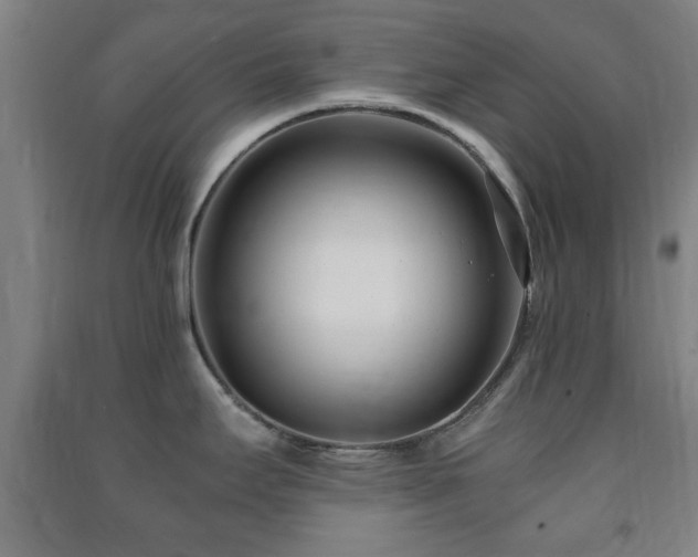 X0000091451295200708161251
