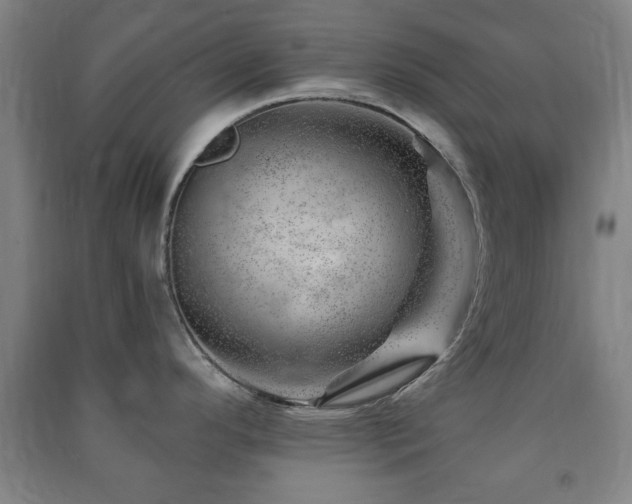X0000091451296200708161251