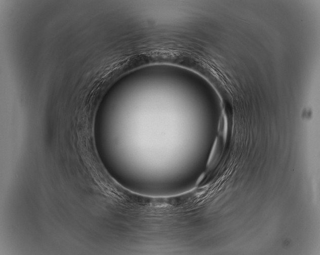 X0000091451297200708161250