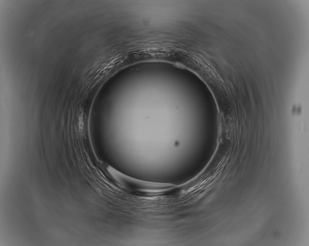 X0000091451298200708161250