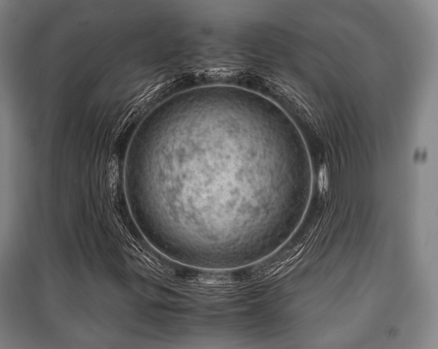 X0000091451299200708161250