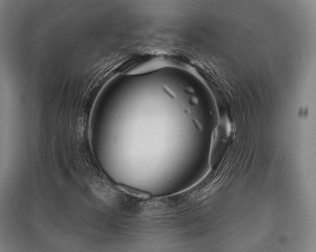 X0000091451300200708161250