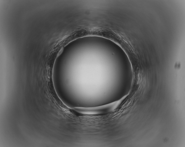 X0000091451301200708161250