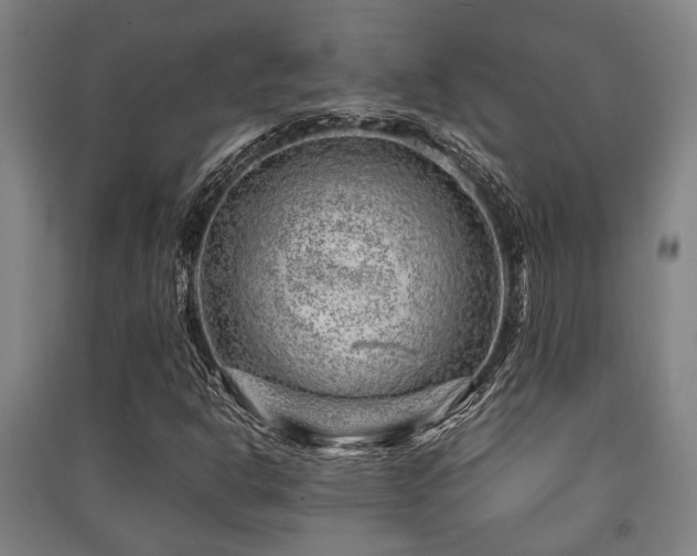 X0000091451302200708161250