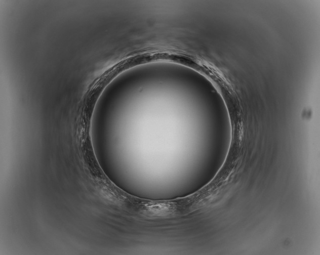 X0000091451303200708161250