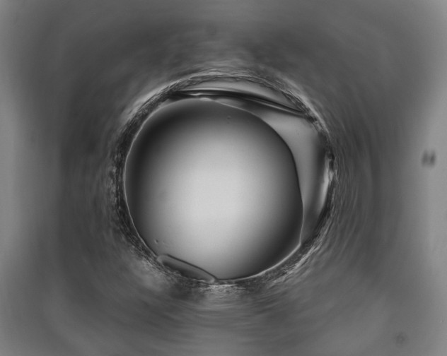 X0000091451304200708161250