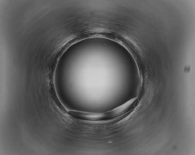 X0000091451305200708161250