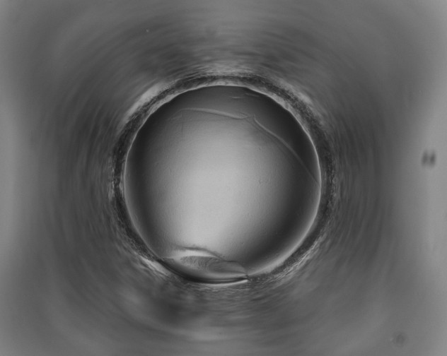 X0000091451306200708161250