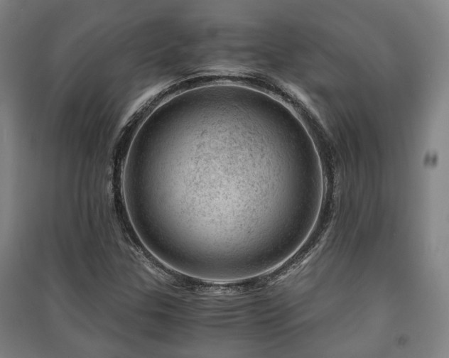 X0000091451307200708161250