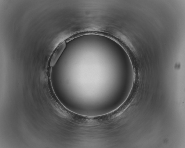 X0000091451308200708161250