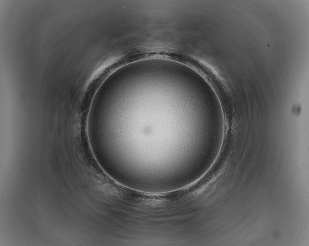 X0000091451309200708161250