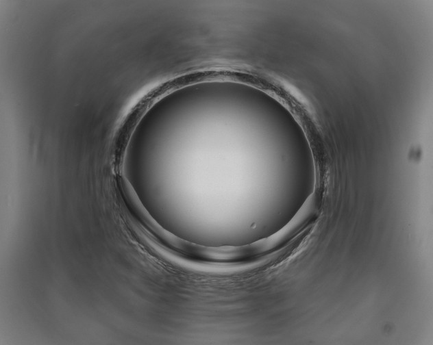 X0000091451310200708161250
