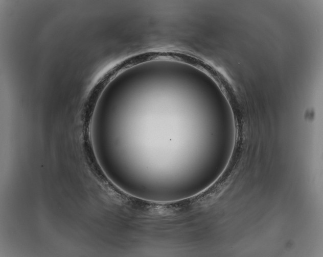 X0000091451311200708161250