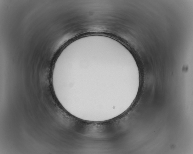 X0000091451314200708161250