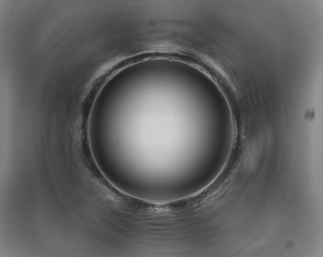 X0000091451315200708161250