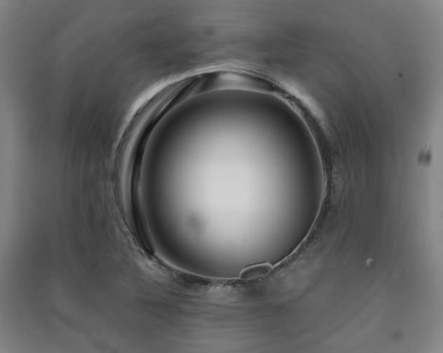 X0000091451316200708161250