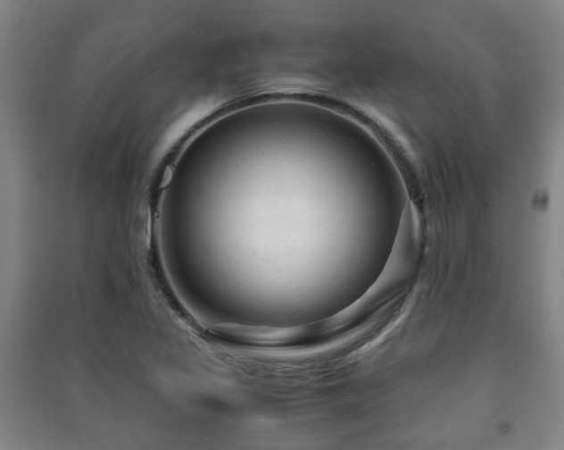 X0000091451317200708161250