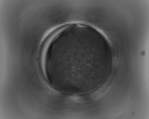 X0000091451319200708161250