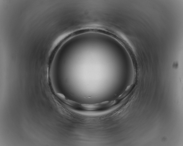 X0000091451320200708161250