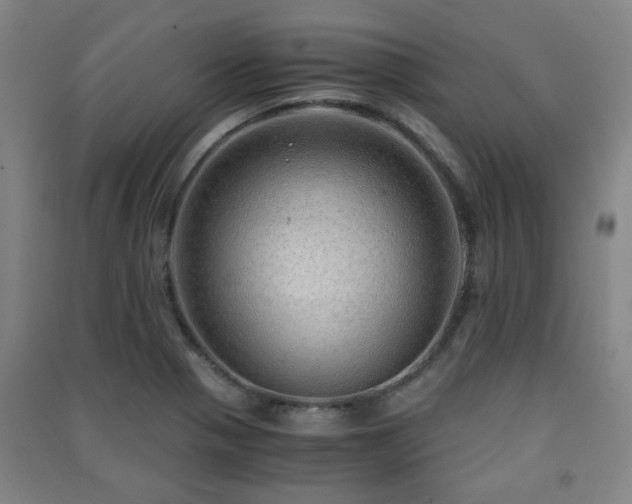 X0000091451321200708161250