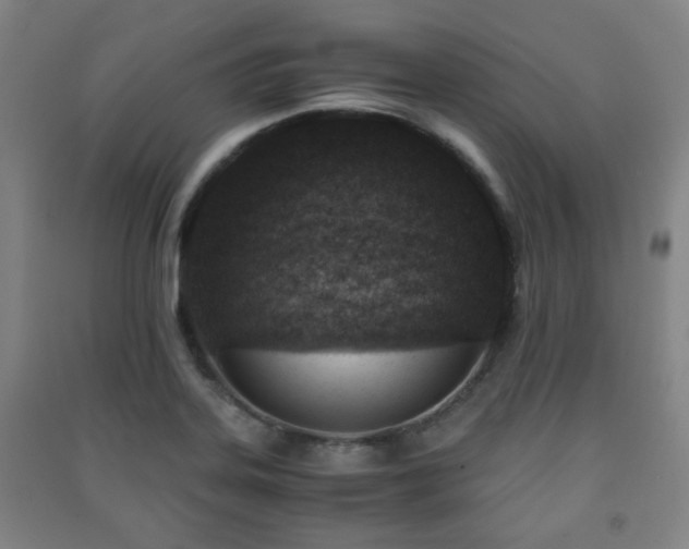 X0000091451323200708161250