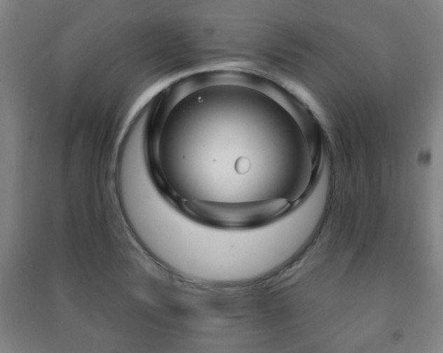 X0000091451324200708161250