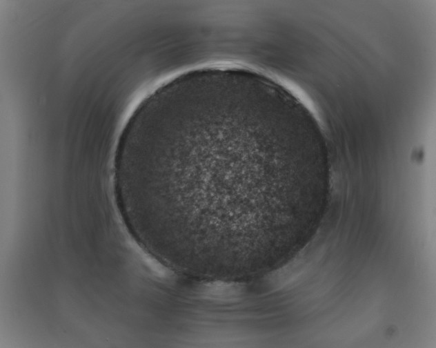 X0000091451327200708161250