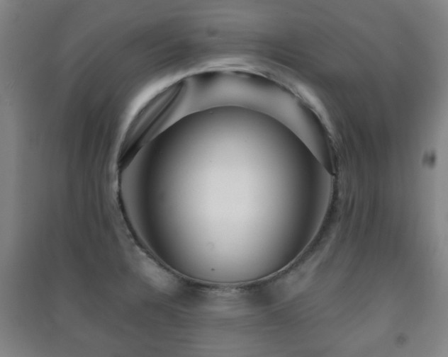 X0000091451328200708161250