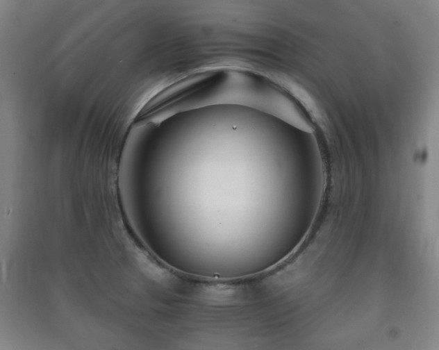 X0000091451329200708161250