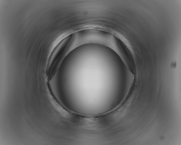 X0000091451330200708161250