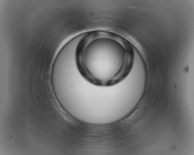 X0000091451332200708161250