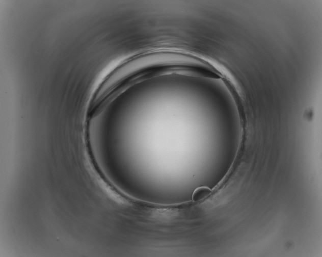 X0000091451333200708161250