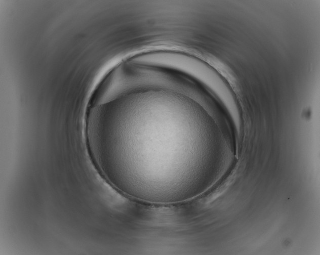 X0000091451334200708161250