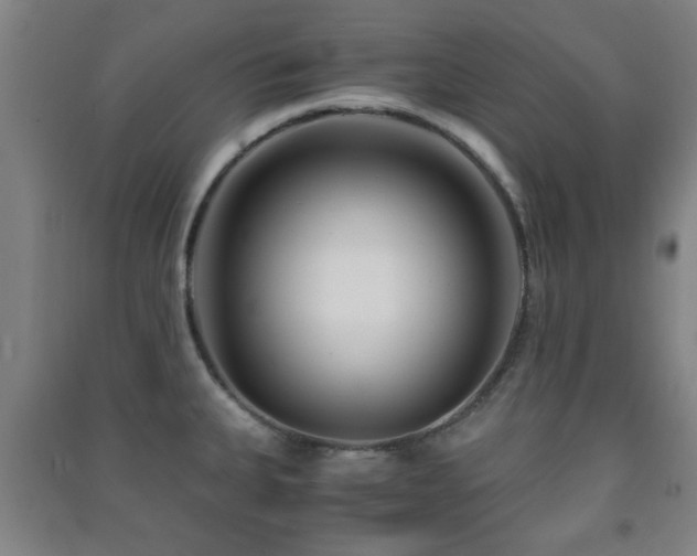 X0000091451335200708161250