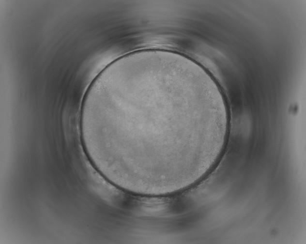 X0000091451338200708161251