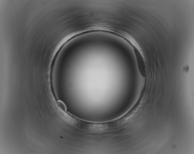 X0000091451339200708161251