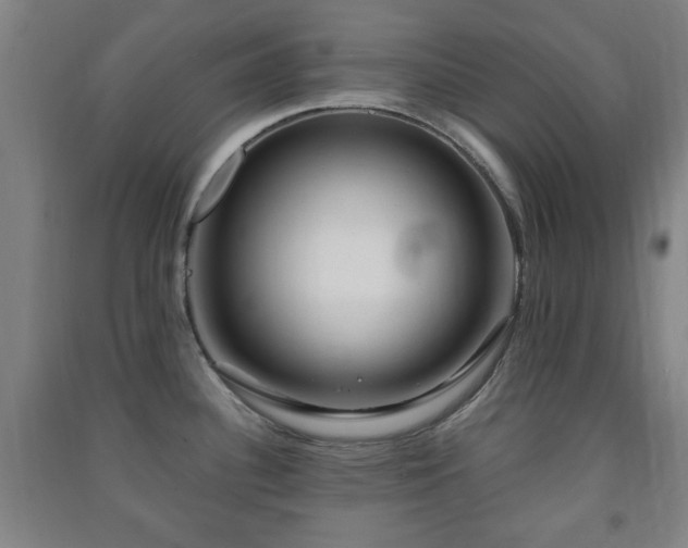 X0000091451340200708161251