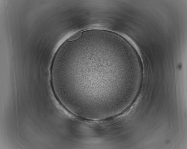 X0000091451341200708161251