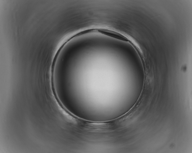X0000091451343200708161251