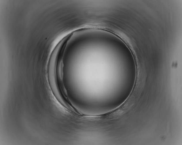 X0000091451344200708161251