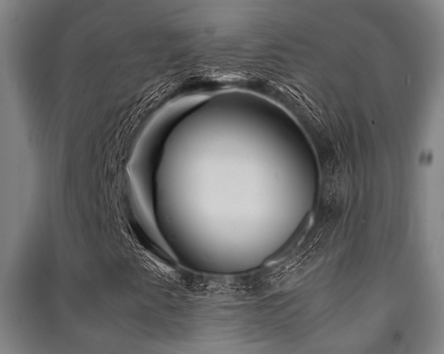 X0000091451345200708161250