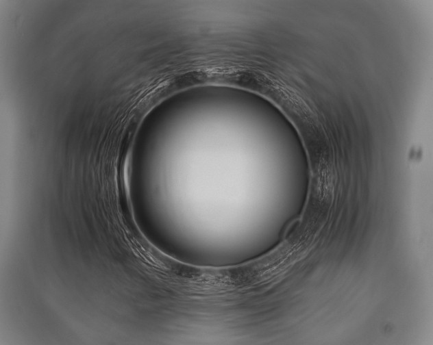X0000091451346200708161250