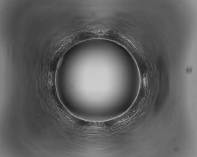 X0000091451347200708161250