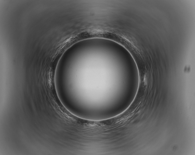 X0000091451348200708161250