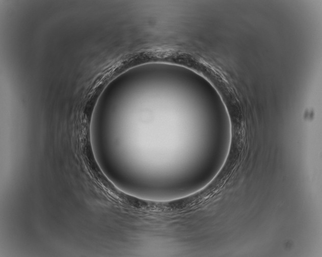 X0000091451349200708161250