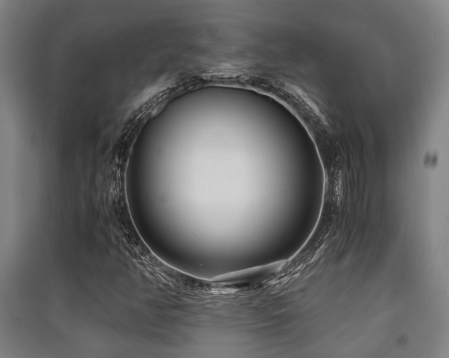 X0000091451350200708161250